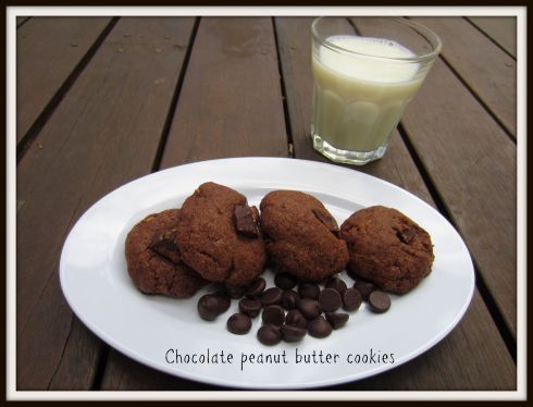 The Hungry Mum. Chocolate peanut butter cookies