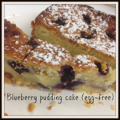 Blueberry pudding cake (egg-free)