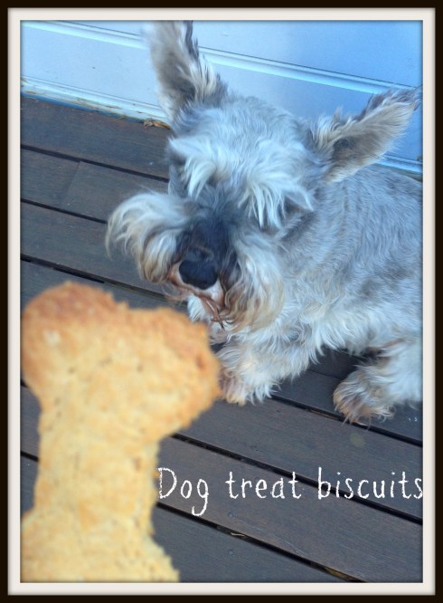 Dog treat biscuits. The Hungry Mum