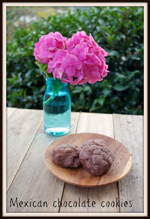 Mexican chocolate cookies