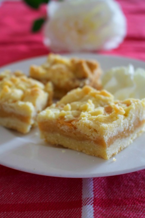 salted dulce de leche bars