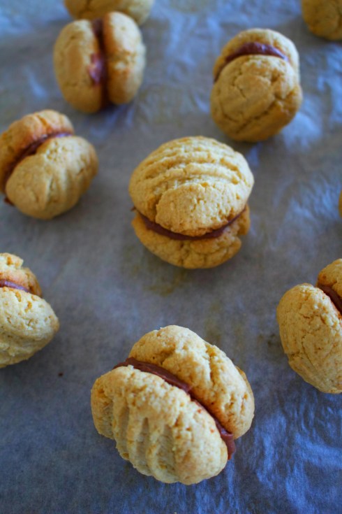 home-made Kingston biscuits