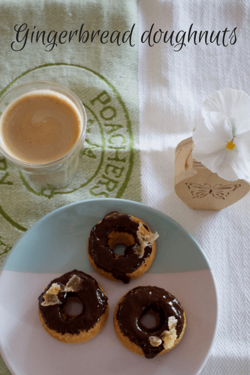 GINGERBREAD DOUGHNUTS.png